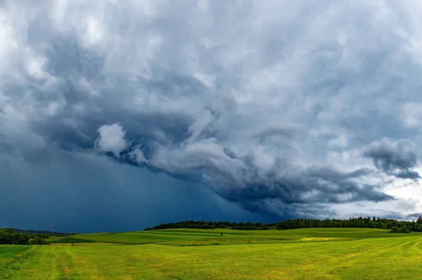 Chuvas do El Niño afetam plantio de soja no Paraná; milho chega a 90%