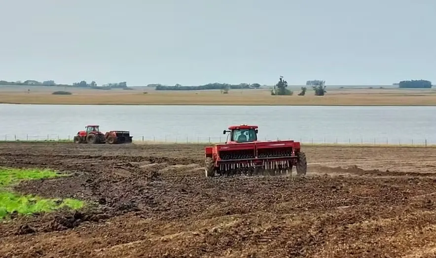 Semeadura de arroz no Rio Grande do Sul alcança 317 mil hectares para a safra 2026/27