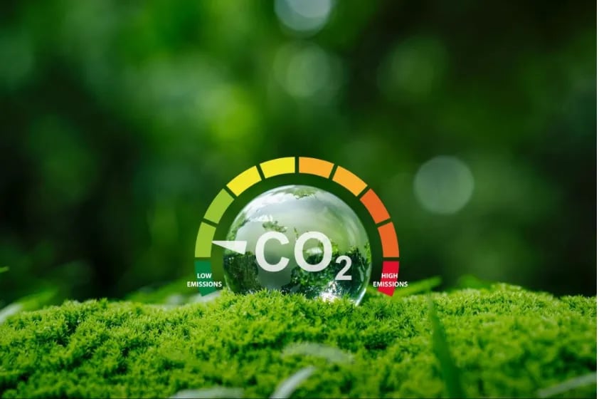 Google e McKinsey firmam acordo para compra de créditos de carbono em pastagens no Brasil