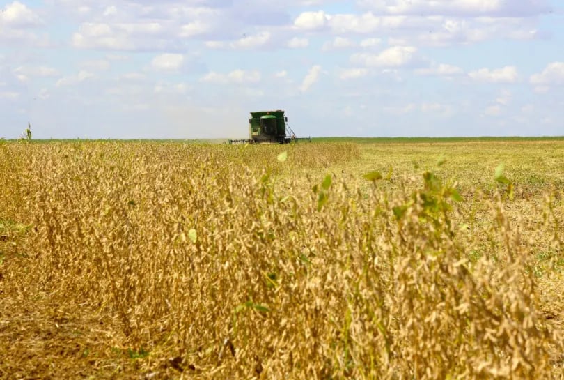 Custos de produção de milho e soja no Brasil subirão na safra 2026/27, projeta RaboResearch