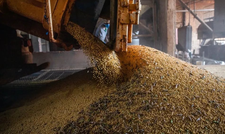 Produção de grãos em Goiás deve atingir 35,9 milhões de toneladas na safra 2026/27