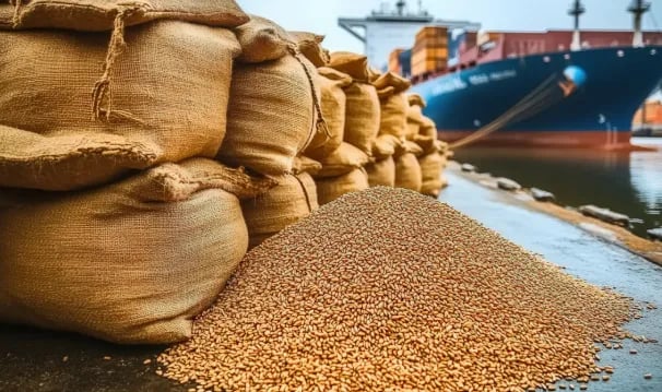 Exportações do agronegócio brasileiro registram recorde com divergência de dados.