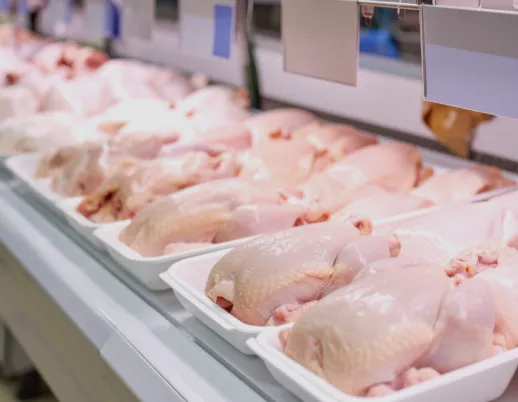 Exportações de carne de frango do Brasil crescem 29,9% em julho e somam 519,2 mil toneladas