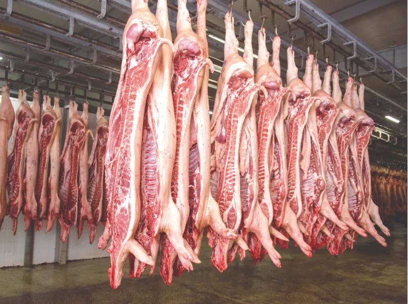 Preços do suíno apresentam tendências mistas nas praças brasileiras