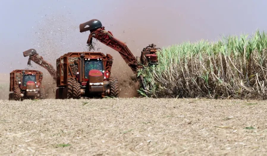 Moagem de cana no Norte e Nordeste atinge 13,73 milhões de toneladas na safra 2026-2027