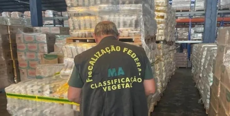 Operação Pó de Arroz apreende 47 toneladas do grão em supermercados do Rio de Janeiro por suspeita de irregularidade