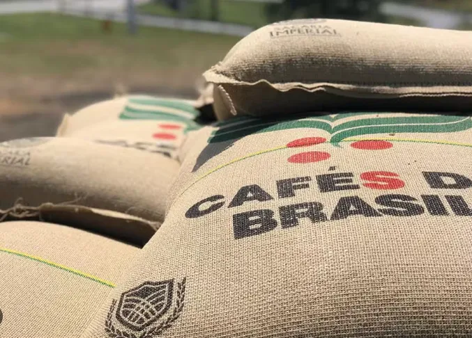 Colheita de café no Brasil chega a 76% até o fim de julho e atraso freia exportações