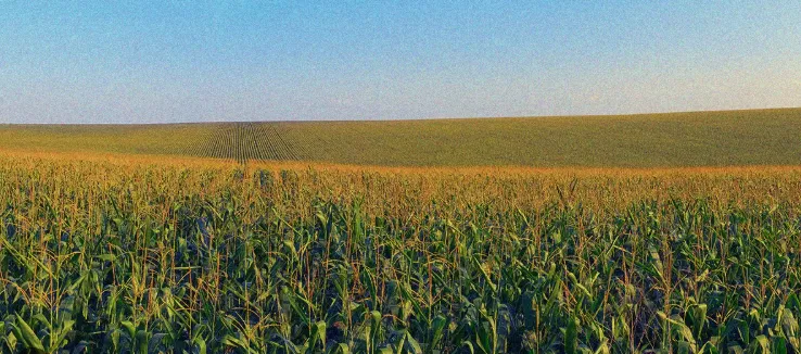 Safra 2026/27 exigirá agricultura mais técnica diante de clima instável, custos elevados e menor margem para erros
