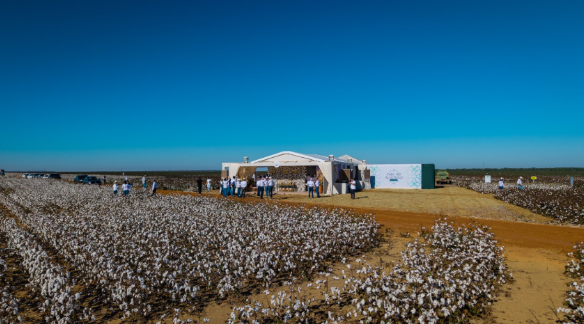 Bayer reúne cadeia da cotonicultura em Sorriso