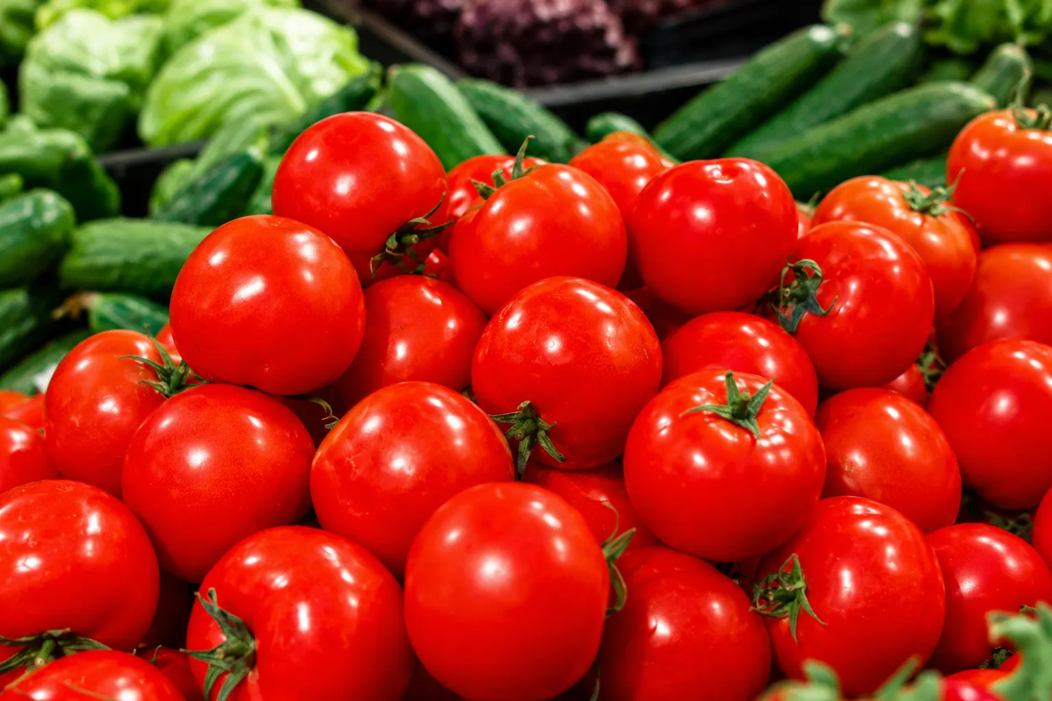 Tomate sobe nos atacados com oferta reduzida, aponta Cepea