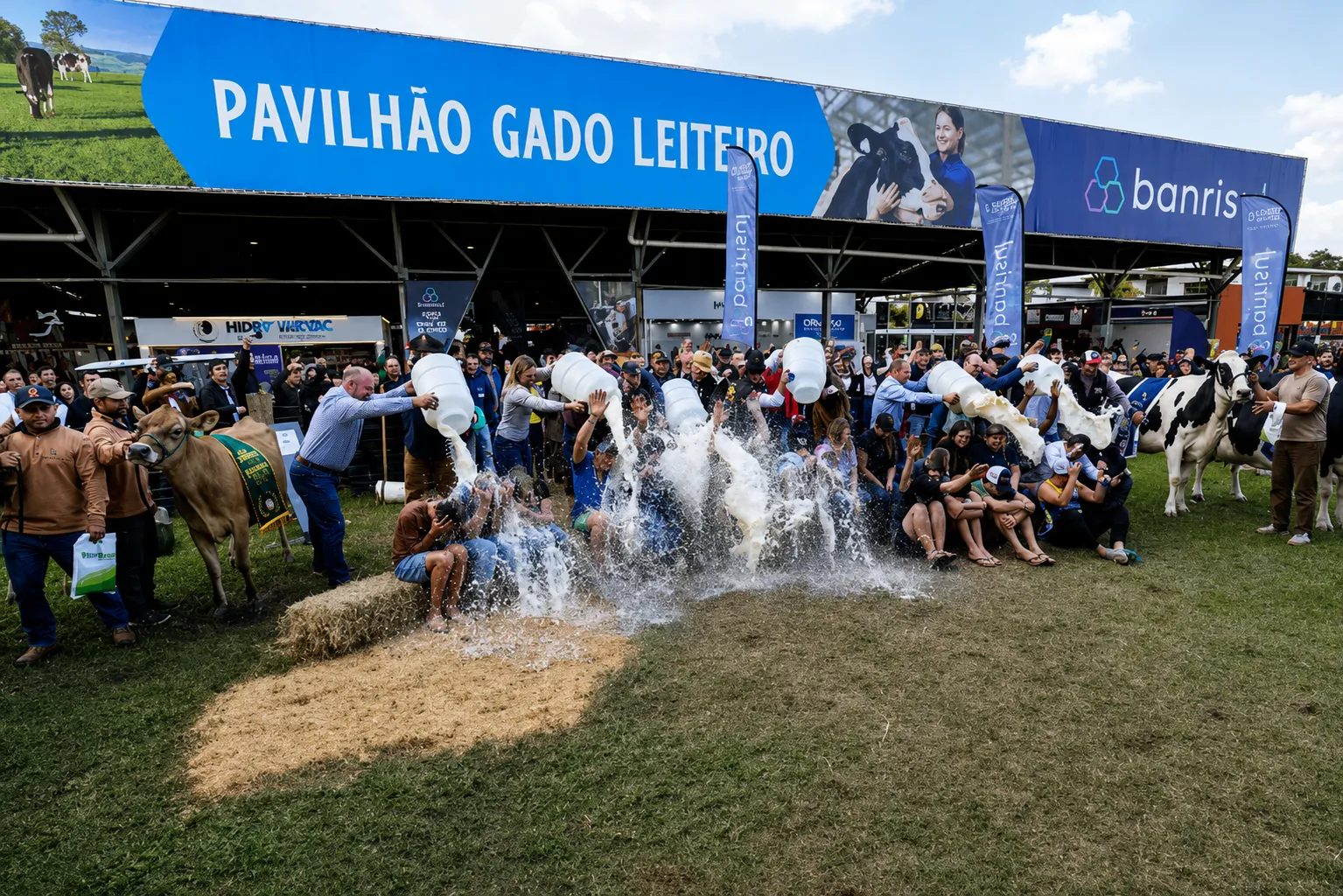 Banho de leite na Expointer 2026 premia campeãs das raças Holandesa e Jersey