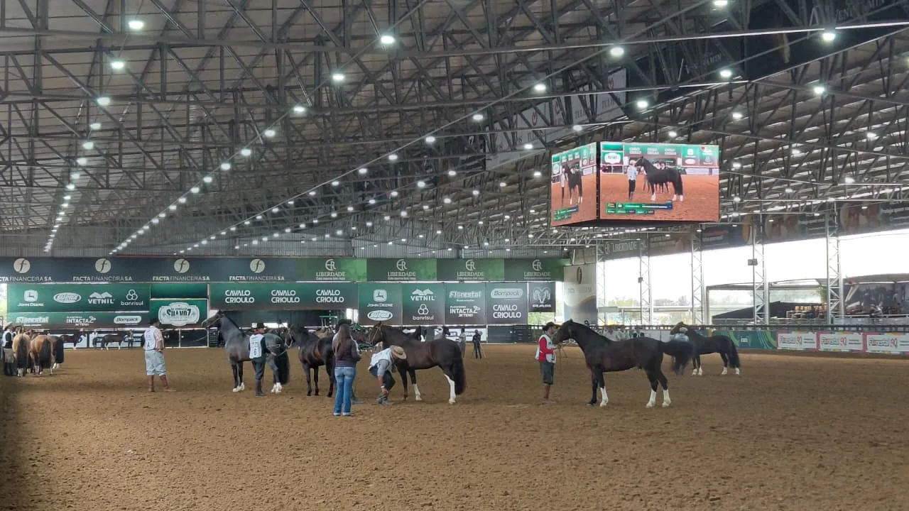 ABCCC reúne os principais exemplares da raça em Esteio e inicia nesta semana a disputa de uma das provas equestres mais tradicionais da América Latina