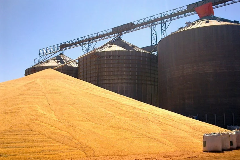 Brasil lidera exportações de commodities agropecuárias, mas crise de fertilizantes importados ameaça a segurança alimentar