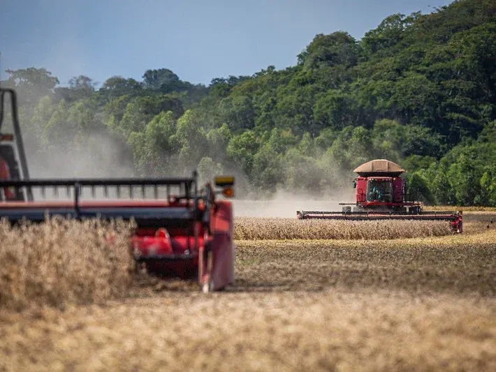 Recorde na Safra de Soja Brasileira em 2026: Previsões Atualizadas da Consultoria Safras & Mercado