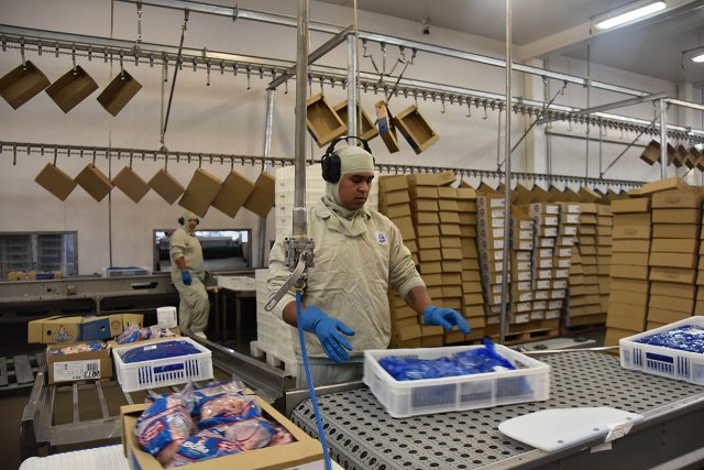 Indústria de MS Bate Recorde em Exportações Pelo Segundo Ano Consecutivo: Celulose e Frigoríficos Impulsionam Receita