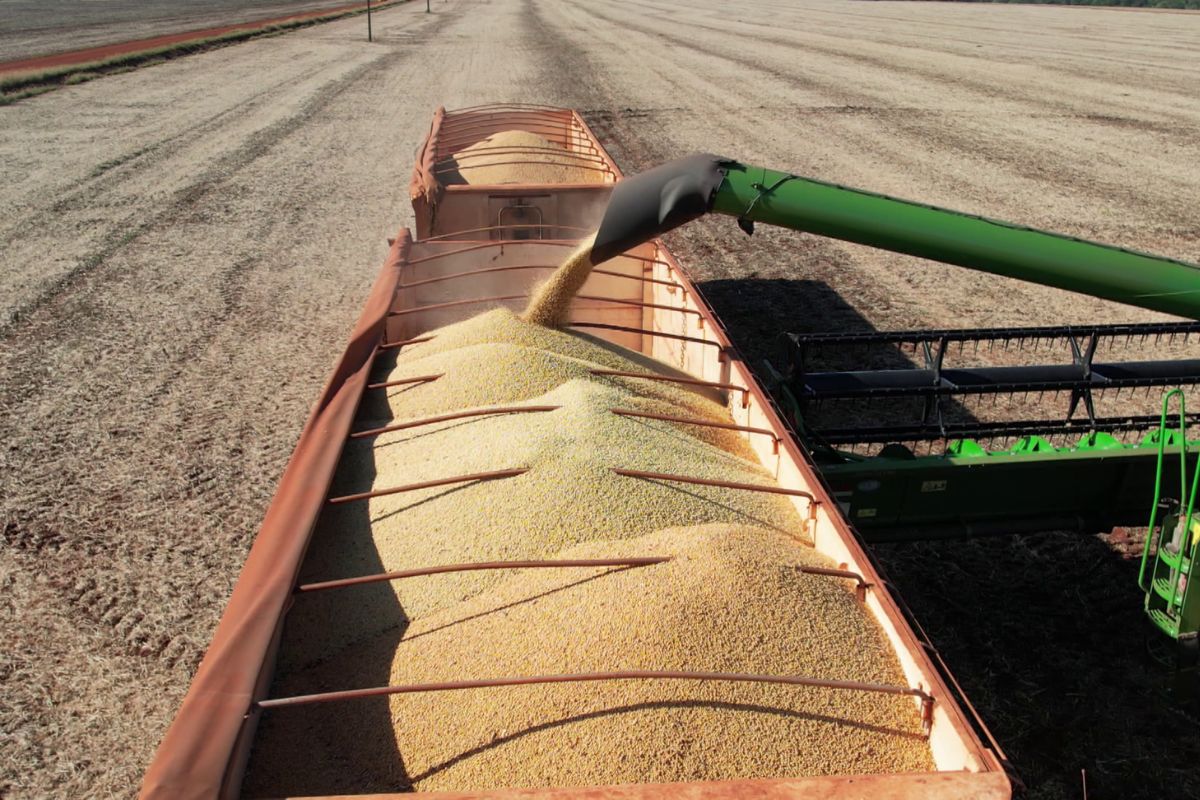 Expandindo Horizontes no Agronegócio: Por que Pensar Além da Saca Pode Valorizar Seu Negócio de Soja?