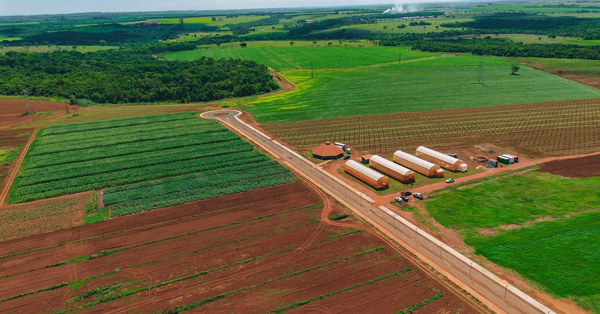 "Parceria Uniube e Agronelli Inova Educação e Pesquisa no Setor Agropecuário em Uberaba"