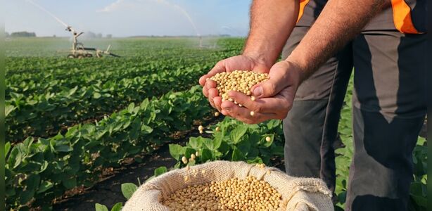 "Brasil Alcançará Recorde de Processamento de Soja em 2026: O Motor das Exportações e o Crescimento da Produção no Mato Grosso e Minas Gerais"