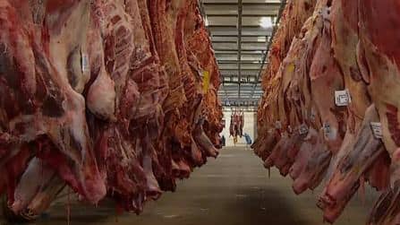 UE tira Brasil da lista de exportadores de produtos de origem animal; Brasil busca reverter.
