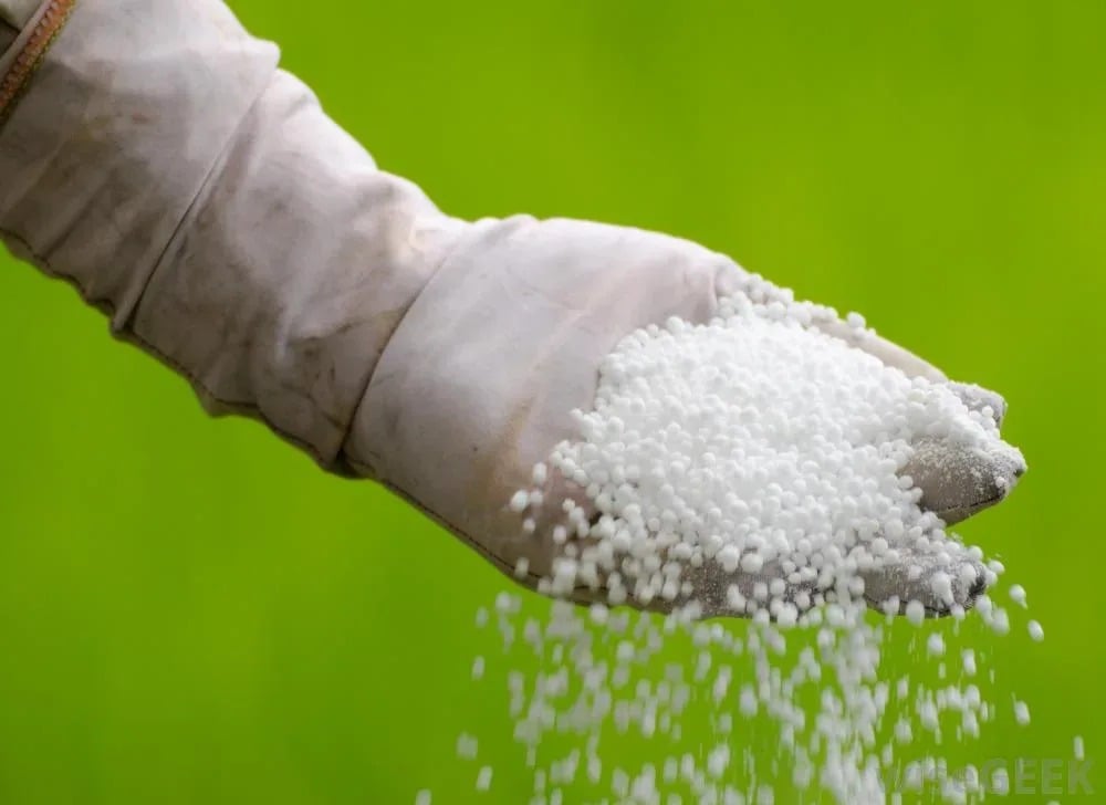 Índice Agrícola Spot Bloomberg cai cerca de 10% e sinaliza alívio nos preços de fertilizantes, mas energia permanece alta