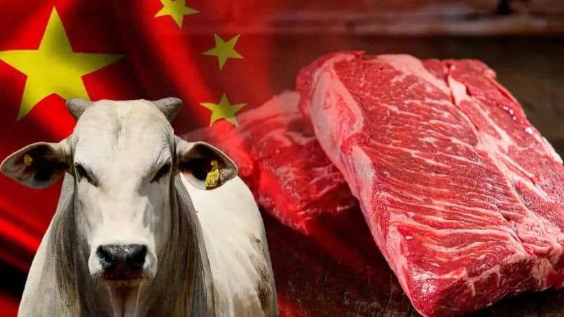 China reconhece Brasil como livre de febre aftosa e estabelece quota máxima de importação para carne bovina (2026-2028)