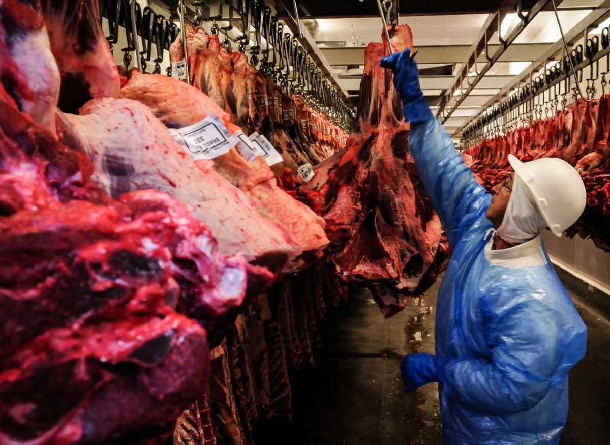 "USDA Alerta: Queda Histórica no Rebanho Bovino dos EUA e Impactos nas Importações em 2025"