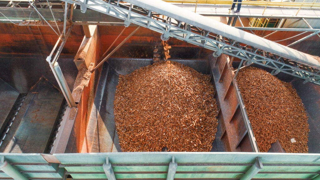 "Mercado da Mandioca em Reajuste: Preços Caem e Demandam Estratégias de Venda"