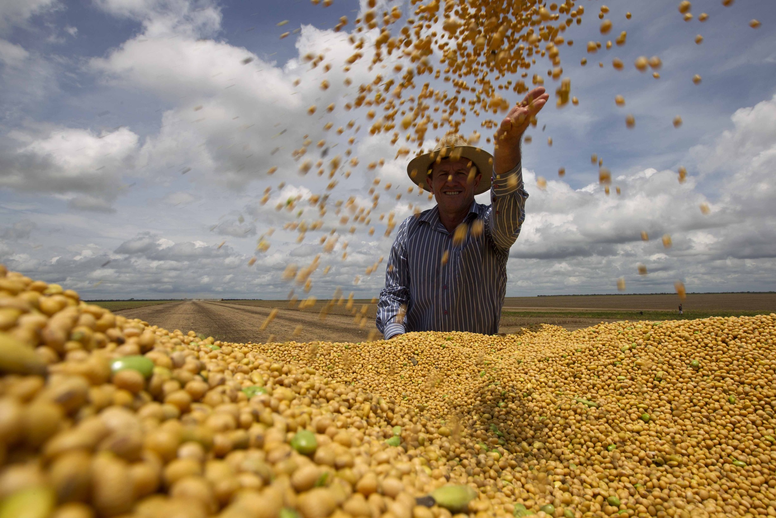 China Aumenta Importações de Soja Brasileira: Produção Recorde e Preços Competitivos Impulsionam Mercado