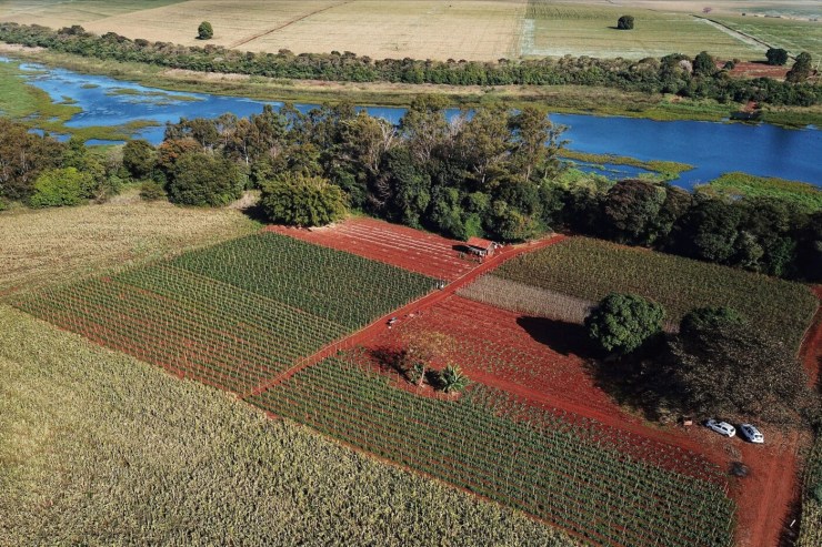 "Hackathon Show Rural Digital 2026: Inovação e Tecnologia Transformando o Agronegócio no Paraná"