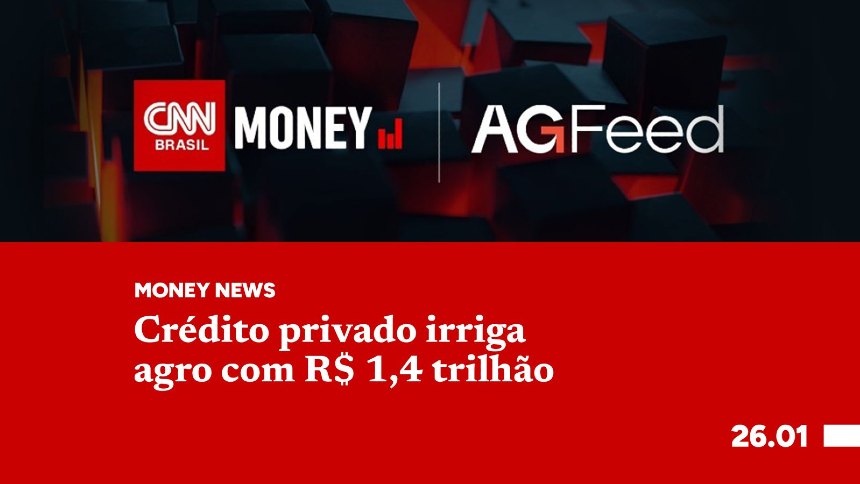 Exclusivo: Receba Notícias e Destaques Diários Atualizados Direto no WhatsApp!