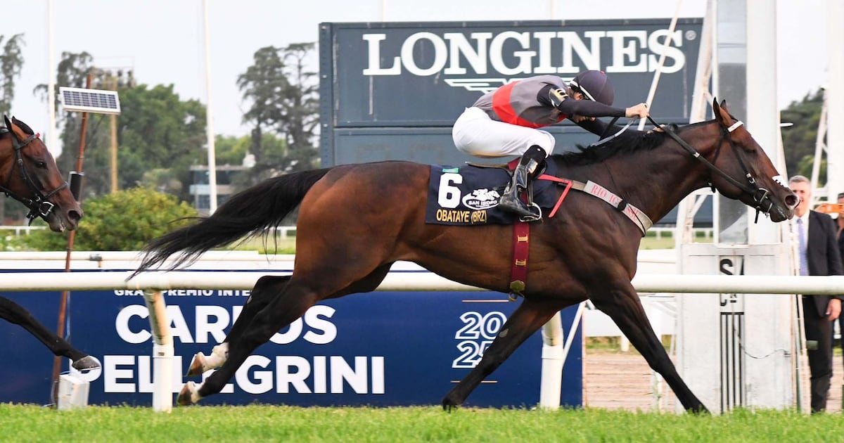 Conquista Histórica: Cavalo Obataye e Haras Rio Iguassu Brilham no Grande Prêmio Carlos Pellegrini 2025!