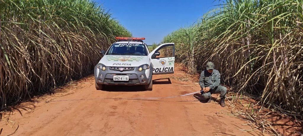 Operação Huracán: Polícia Militar Ambiental intensifica fiscalização contra queimadas e incêndios florestais em São Paulo durante a estiagem