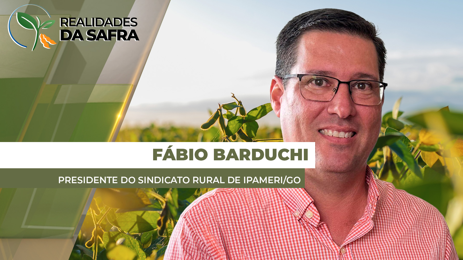 Colheita de Soja em Ipameri/GO: Produtividade Cai e Produtores Apostam em Sorgo e Girassol na Safra 2023
