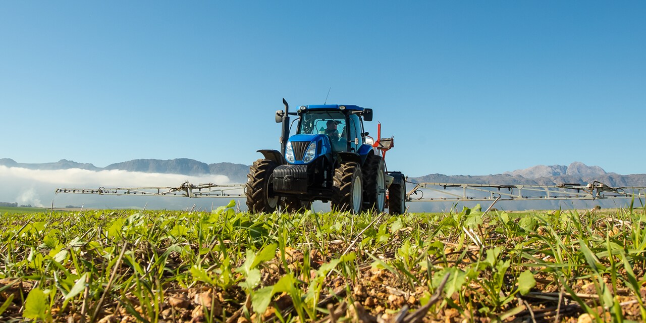 "Angola Investe em Agroindústria: Fomentando Empregos e Reduzindo Importações com o Programa 'Transforma Aqui'"