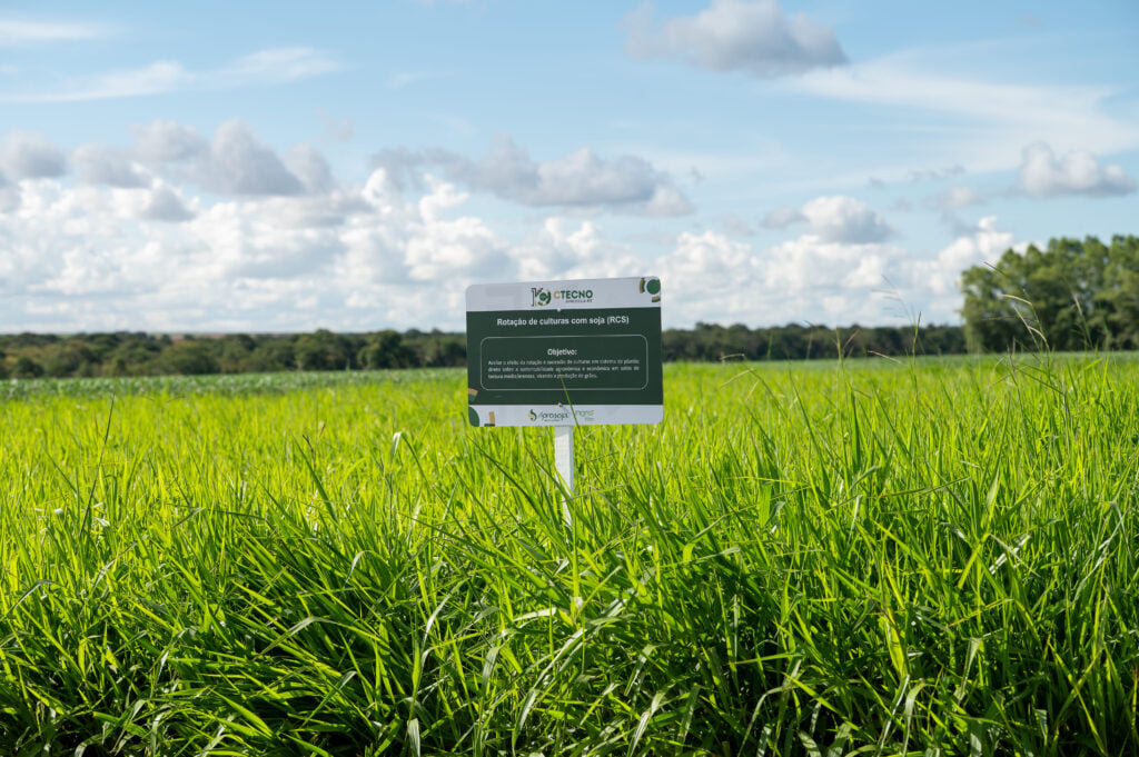 "Agricultura Sustentável: CTECNO Parecis Revoluciona Cultivo com Inovação e Pesquisa"