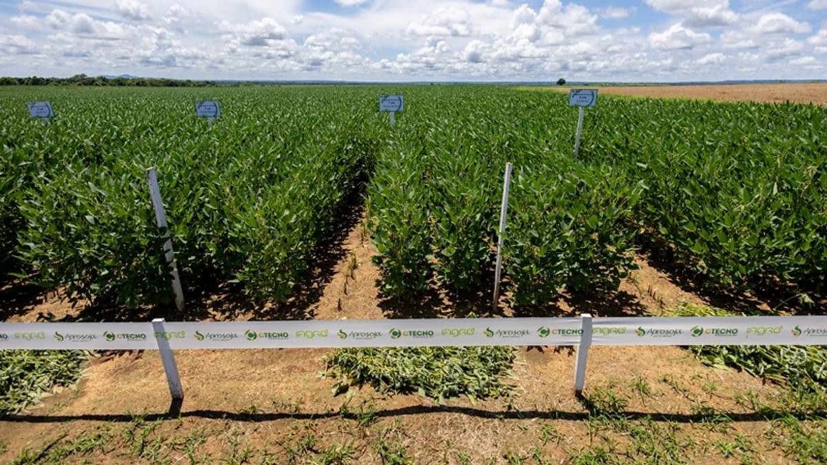 "Últimos Dias para Inscrição na Visita Técnica ao CTECNO Araguaia em Nova Nazaré/MT: Destaques no Manejo de Soja"