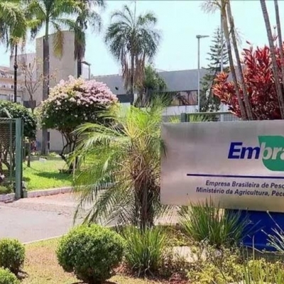 Embrapa: Nomeação de Alexandre Alonso para a Diretoria de Negócios enfrenta entraves no Executivo, com foco em captação de recursos e parcerias privad