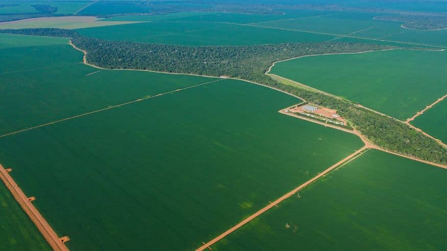 Seguro rural muda critérios de análise diante do avanço dos eventos climáticos