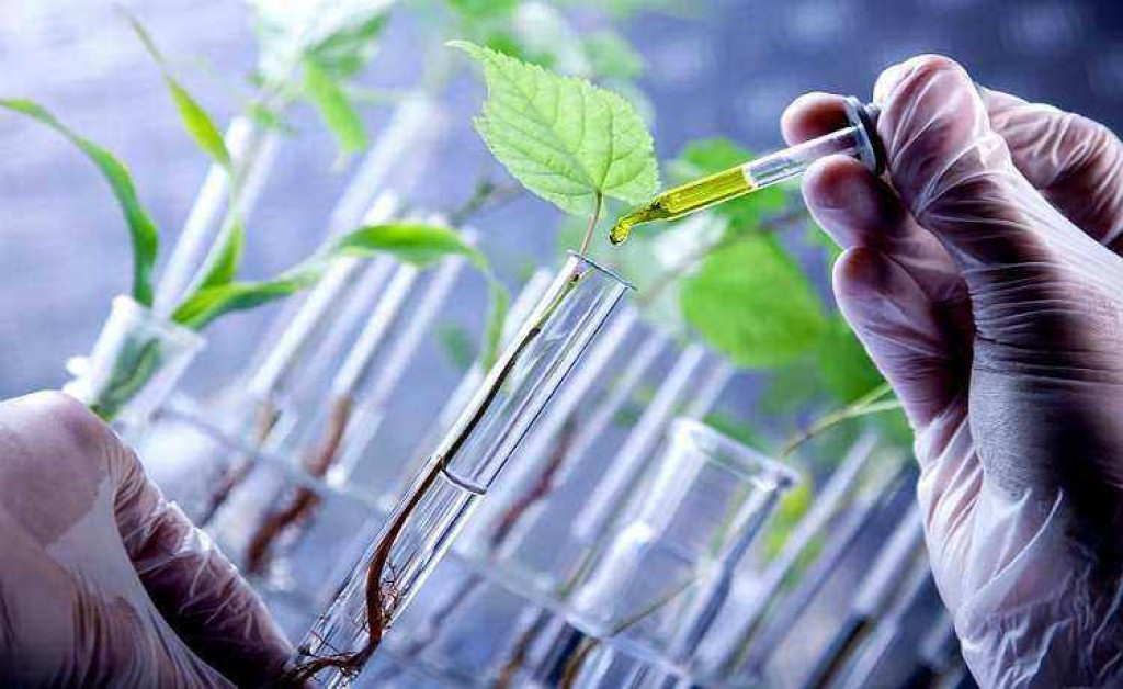 "A Revolução dos Bioinsumos na Agricultura Brasileira: Crescimento, Inovação e Sustentabilidade em Alta"