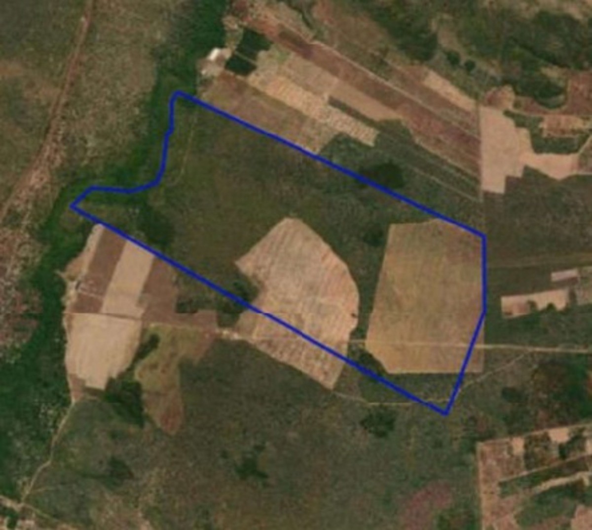 "Oportunidade de Ouro: Leilão de Fazenda em Região Estratégica do Matopiba com Potencial Agrícola Gigante"