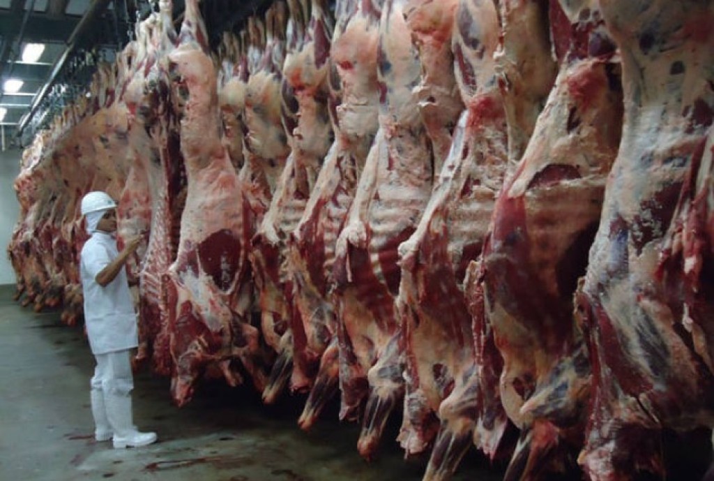 Produção de Carne e Soja em Mato Grosso: Crescimento Recorde e Impacto Global até 2025
