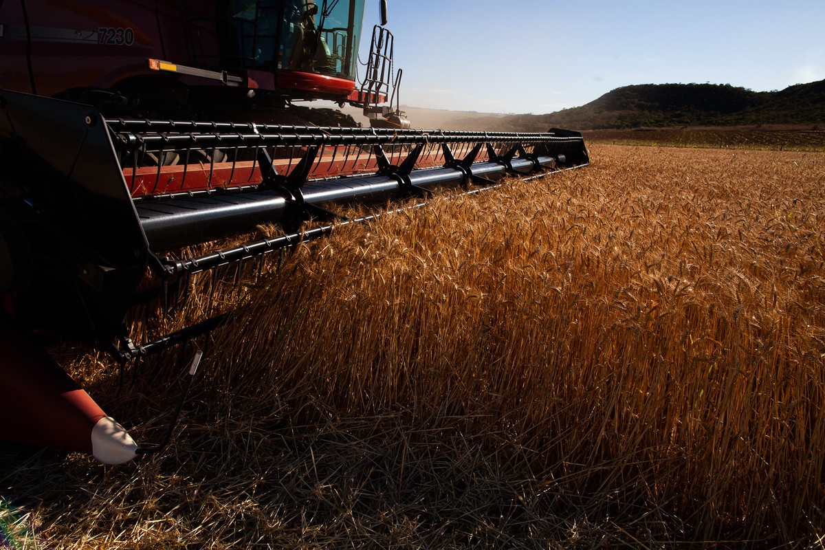 Inadimplência do crédito rural para pessoas físicas chega a 7,4% em abril, entre os maiores patamares da história, segundo BC