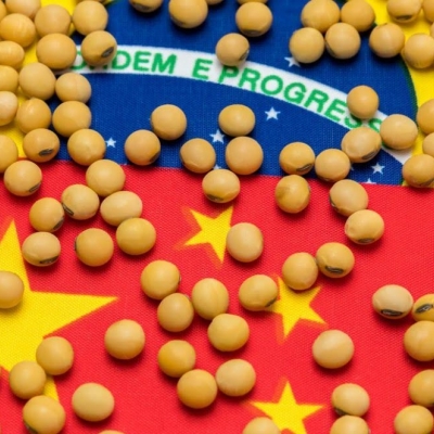 China pode reduzir importações do Brasil até 2030: impactos no agronegócio, soja e carne