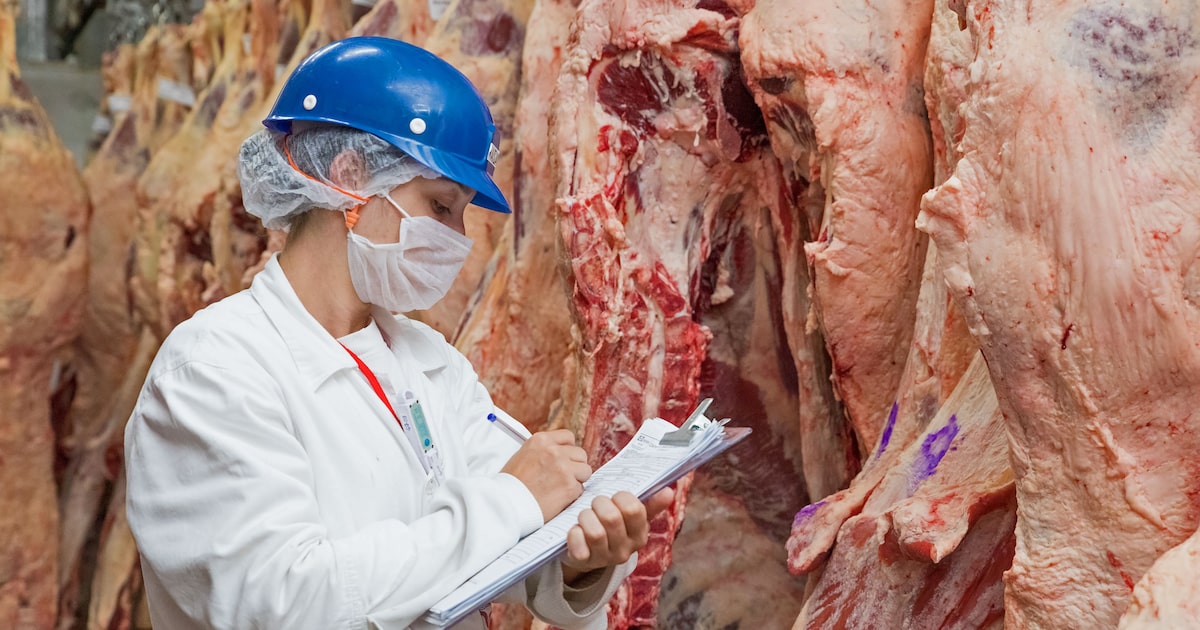 UE veta carne brasileira por antimicrobianos; Brasil intensifica negociações técnicas e diplomacia para reverter decisão