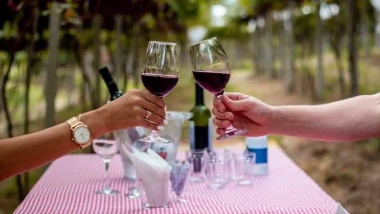 Turismo de Experiência no Campo: Agro Turismo Potencializa o Valor da Produção