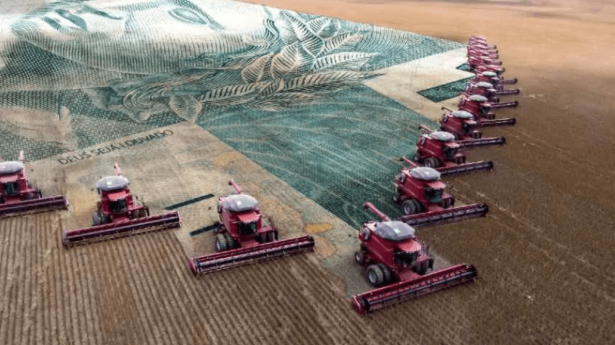 Agropecuária impulsiona PIB: Setor cresce 13,05% e supera indústria e serviços em 2025 segundo o BC