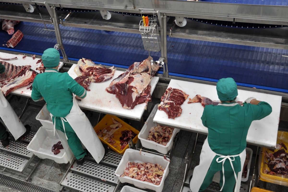 Ascensão do Mercado Indonésio: Oportunidades para a Carne Bovina Brasileira em 2025