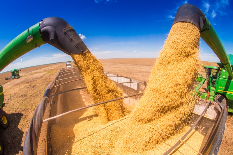 Colheita de Soja em Mato Grosso Alavanca Safra 2025/26 com Avanço Recorde: Dados do Imea Revelam Crescimento Surpreendente