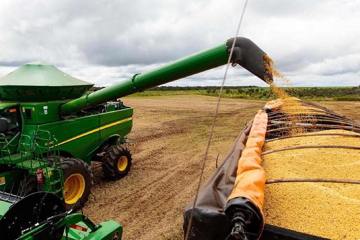"Apreciação do Real e Safra Recorde Impactam Cotação da Soja e Prêmios de Exportação: Desafios para Produtores em 2024"