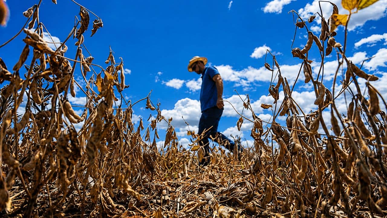 Campo enfrenta crise de endividamento e acumula R$ 170 bilhões em operações sob pressão financeira